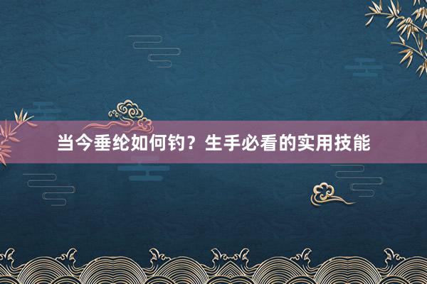 当今垂纶如何钓？生手必看的实用技能